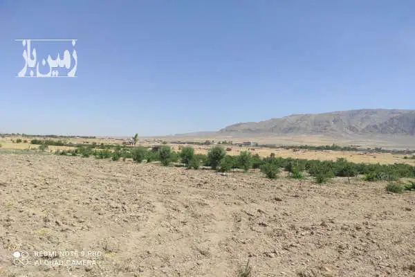 باغ با قیمت مناسب در شبانکاره میمند - تصویر 2