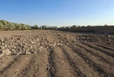 زمین کشاورزی شهر جدید قلعه نو سند تک برگ