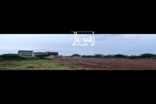 زمین در شهرود کلا ویو ابدی با درختان پرتقال - تصویر 2