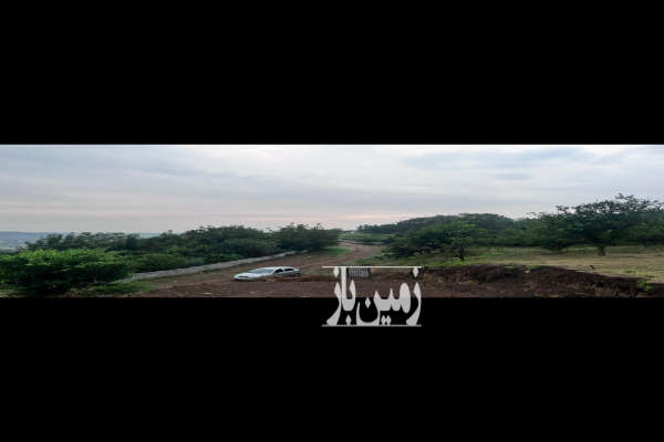 زمین در شهرود کلا ویو ابدی با درختان پرتقال-3