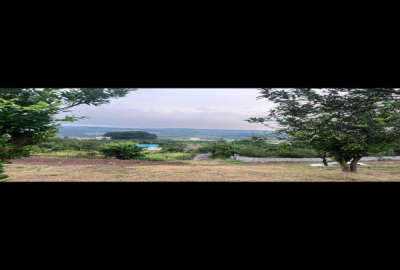 زمین در شهرود کلا ویو ابدی با درختان پرتقال