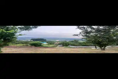 زمین در شهرود کلا ویو ابدی با درختان پرتقال