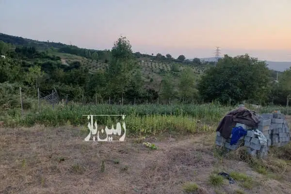 زمین ۷۰۰ متری دارای بر ۵۷ در پایین کولا سانخیل - تصویر 2
