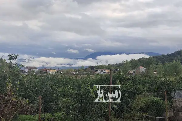 فروش باغ پرتقال در رانکوه ۳۱۹۶ متر دسترسی عالی جاده مکانیزه - تصویر 2