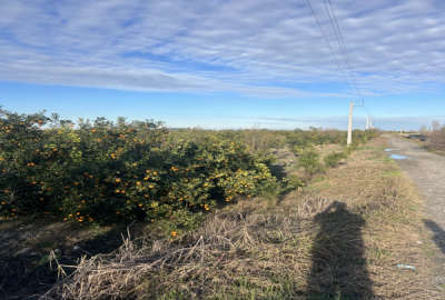 باغ در روستای قراخیل با امکانات آب و برق