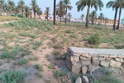 زمین شیبان ۶۴۰ متر ۱۴در ۴۴ پشت تالار ستاره