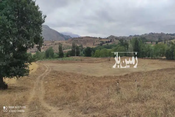 زمین کشاورزی منطقه ییلاقی خورگام روستای چهارمحل - تصویر 3