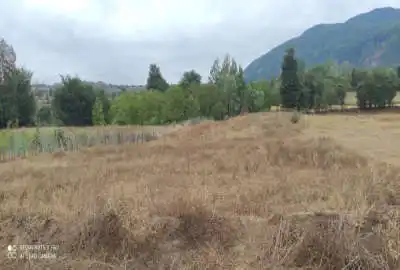 زمین کشاورزی منطقه ییلاقی خورگام روستای چهارمحل