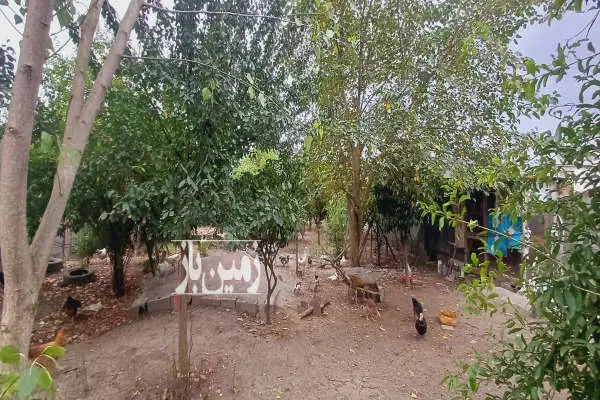 زمین باغی دارای موقعیت عالی و بسیار زیبا روستای محمودآباد - تصویر 3