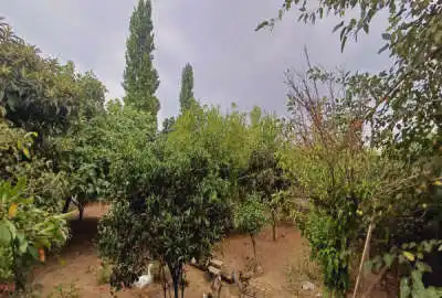 زمین باغی دارای موقعیت عالی و بسیار زیبا روستای محمودآباد
