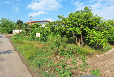 زمین مسکونی داخل بافت ابتدای روستای کوهیخیل سیدآباد