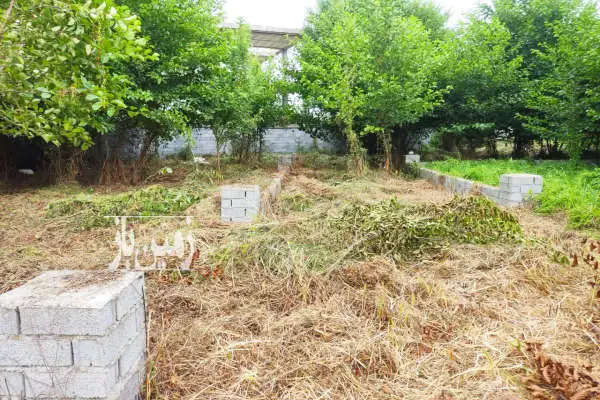 زمین مسکونی ۶۴۰ متر شهرستان چالوس خیابان زینبیه - تصویر 2