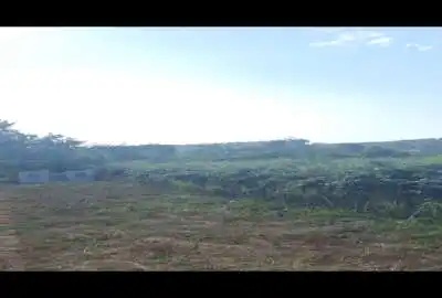 زمین ۱۱۰۰ متری بابل بندپی شرقی روستای پایین گنج کلا ویو عالی