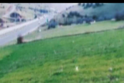 زمین کشاورزی درنمین روستای خانقاه علیا ۸۹۹۵ متر