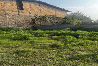 زمین کشاورزی ۱۸۰ متر در شهر قائمشهر روستای میانرود