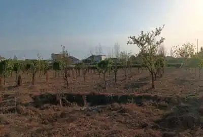 زمین باغی چسبیده به بافت ۱۰۰۰ متر در روستای علی اباد