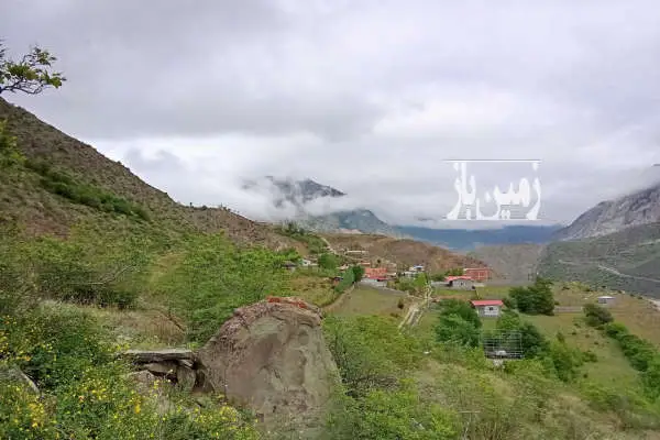 زمین مسکونی کلنگی ۴۴۰ متر روستاری سفیدار گله - تصویر 4