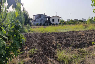 زمین تجاری مسکونی ۲۰۰۰ متر در روستای پنبه چوله با بر بیست