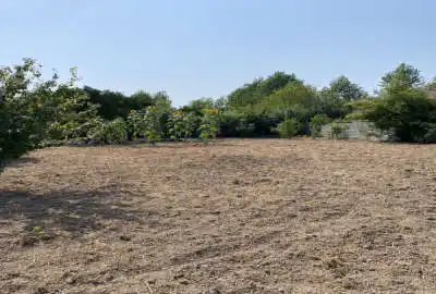 زمین ۸۳۰ متر واقع در روستای برنجستانک