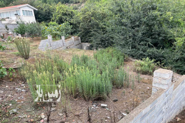زمین تجاری مسکونی ۲۶۶ متری روستای پردنگون مرزن آباد-1