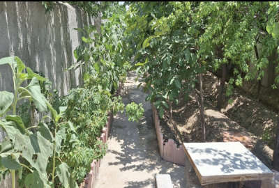 باغچه ۳۰۰ متری با امکانات محله علی آباد