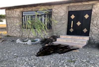 زمین ۵۰۰ متر چناران سرچین عالیس