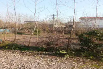 ۲۰۰ متر زمین در روستای کماچال میان محله