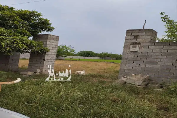 زمین کنار بافت در جاده بابل به کیاکلا روستای موسی کلا - تصویر 3