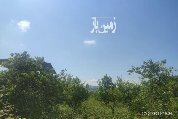 زمین کشاورزی باغی بابلکنارجاده گنج افروز سه راه شیردارکلا روستای گونکلا-1