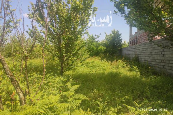 زمین کشاورزی باغی بابلکنارجاده گنج افروز سه راه شیردارکلا روستای گونکلا-3