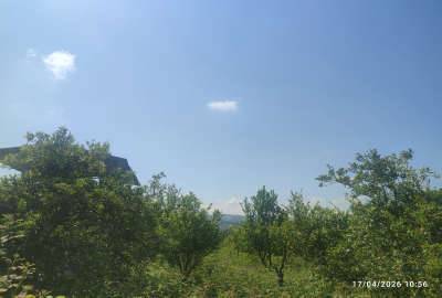 زمین کشاورزی باغی بابلکنارجاده گنج افروز سه راه شیردارکلا روستای گونکلا