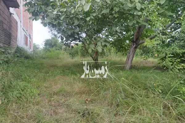 زمین به مساحت ۱۳۰۰ متر در قائمشهرروستای حاجیکلا قلزم - تصویر 2