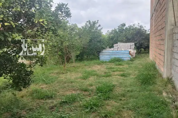 زمین به مساحت ۱۳۰۰ متر در قائمشهرروستای حاجیکلا قلزم - تصویر 3