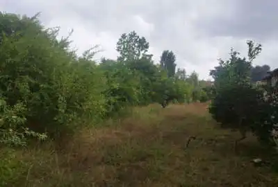 زمین به مساحت ۱۳۰۰ متر در قائمشهرروستای حاجیکلا قلزم