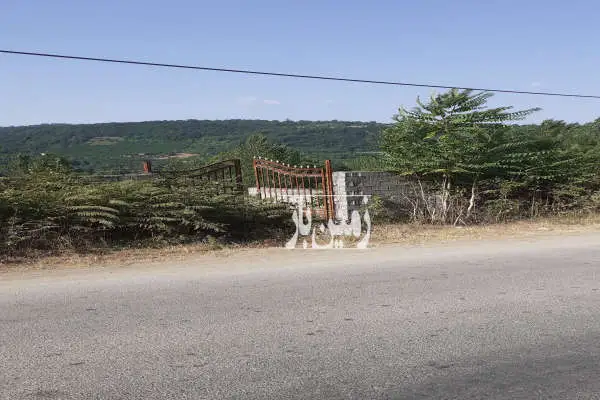 زمین به مساحت ۸۰۰ متر در روستای علیوکلا هولار برخط اصلی - تصویر 1