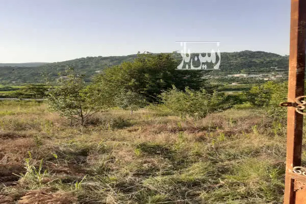 زمین به مساحت ۸۰۰ متر در روستای علیوکلا هولار برخط اصلی - تصویر 2