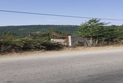 زمین به مساحت ۸۰۰ متر در روستای علیوکلا هولار برخط اصلی