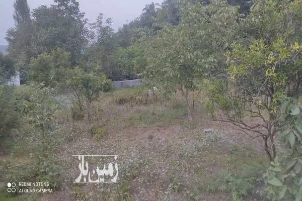 زمین باغی دیوارکشی شده روستای صنم کلا - تصویر 4