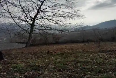 زمین مسکونی ۴۵۰ متر سوادکوه شمالی لفور روستای مرزیدره