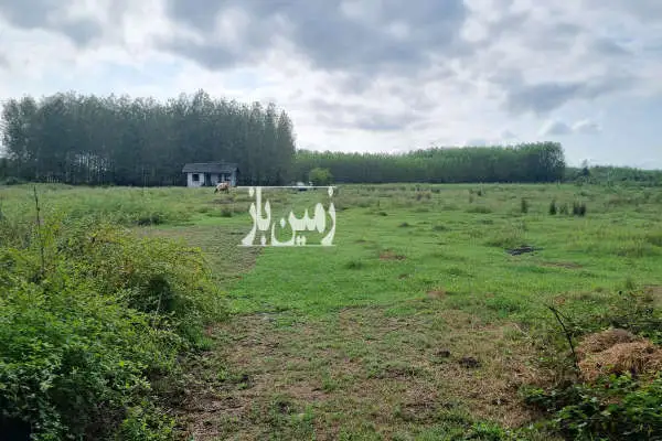 ۱۷۰۰۰ متر زمین صنعتی با اسکلت سوله ۴۰۰۰ متر باغات در صیقلان - تصویر 3