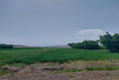 زمین ۶۰۰ متر روستای مرغزاری هفتاد کیلومتری سیرجان