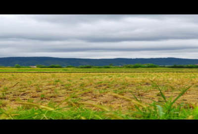 زمین ۲۰۰ متری نزیک به دریا روستای لشگرک