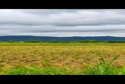 زمین ۲۰۰ متری نزیک به دریا روستای لشگرک