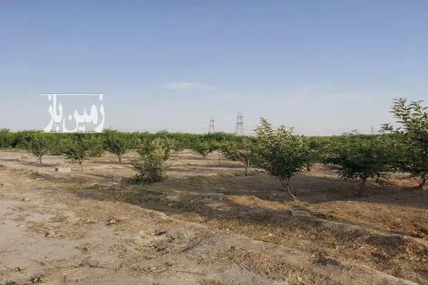 باغ در حصارمحتر دارای درخت بارده ۲۰۰۰ متری - تصویر 3