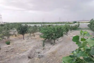 باغ در حصارمحتر دارای درخت بارده ۲۰۰۰ متری