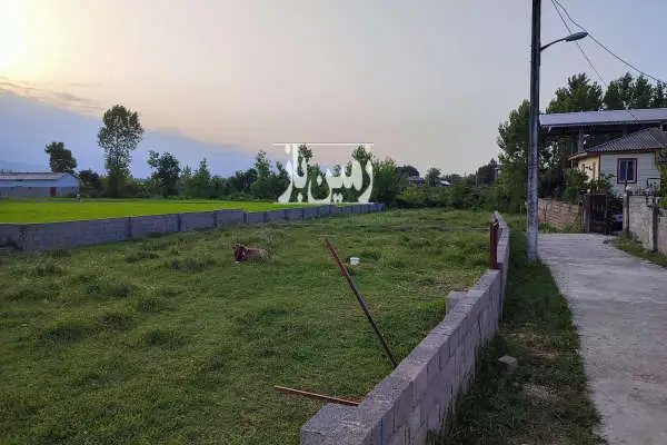 ۵۰۰ متر زمین مسکونی در روستای قندی سرا در بافت روستایی - تصویر 2