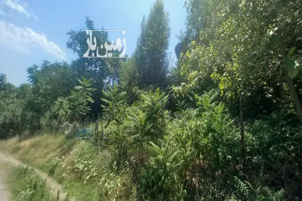 زمین به مساحت ۱۵۰ متر داخل شهر تالش - تصویر 2