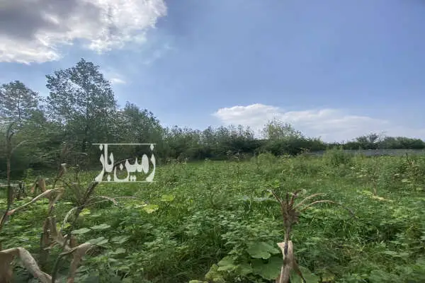 زمین مسکونی ۸۰۰ متر واقع در بابلکنار روستای گونه کلا - تصویر 2