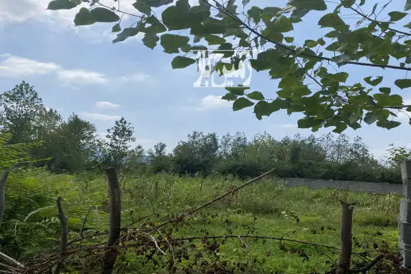 زمین مسکونی ۸۰۰ متر واقع در بابلکنار روستای گونه کلا - تصویر 3