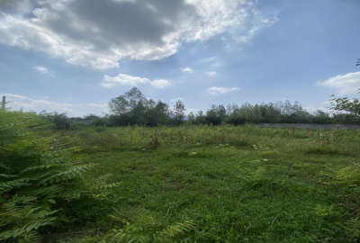 زمین مسکونی ۸۰۰ متر واقع در بابلکنار روستای گونه کلا